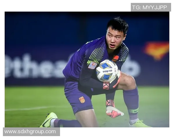 央视足球全景解析中国足球发展现状与未来展望